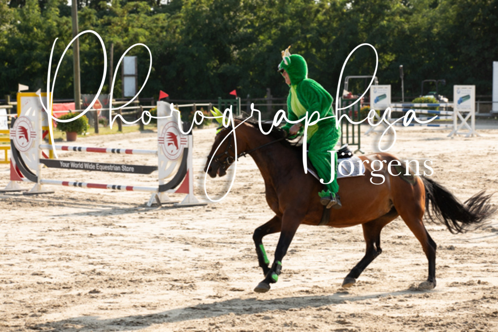 IMG_3566 | photographesa-joergens - Realisiert mit Pictrs.com