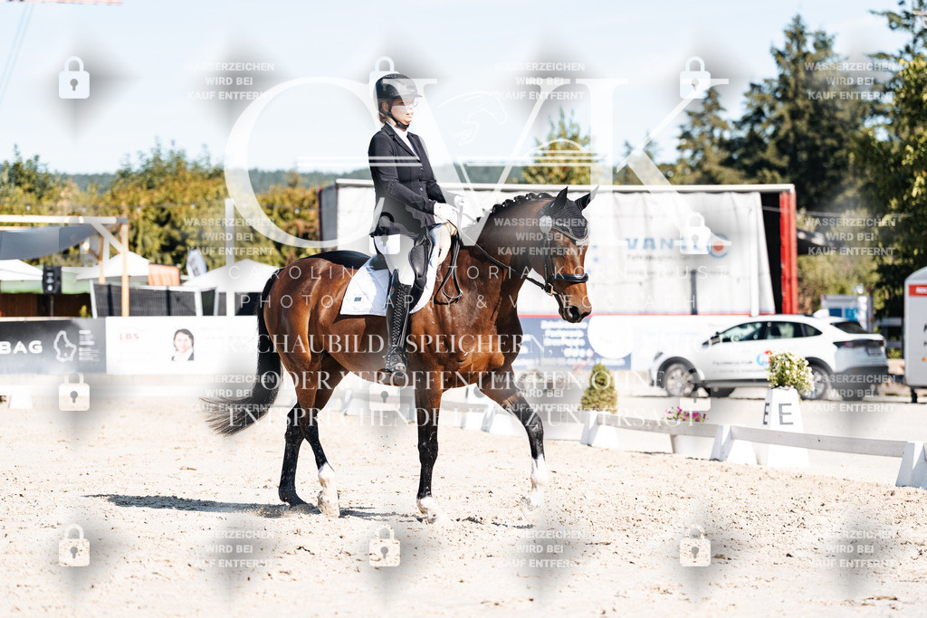 CK908006 | Turnierfotografie Pferdefotografie Trier Rheinland-Pfalz Pferdesport Reitsport Tierfotografie Sportfotografie Pferdevideo Pferdevideografie Equestrianvideography equestrianphotography  - Realisiert mit Pictrs.com