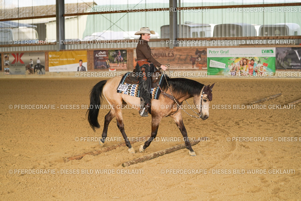 DSC01835 | Pferdegrafie