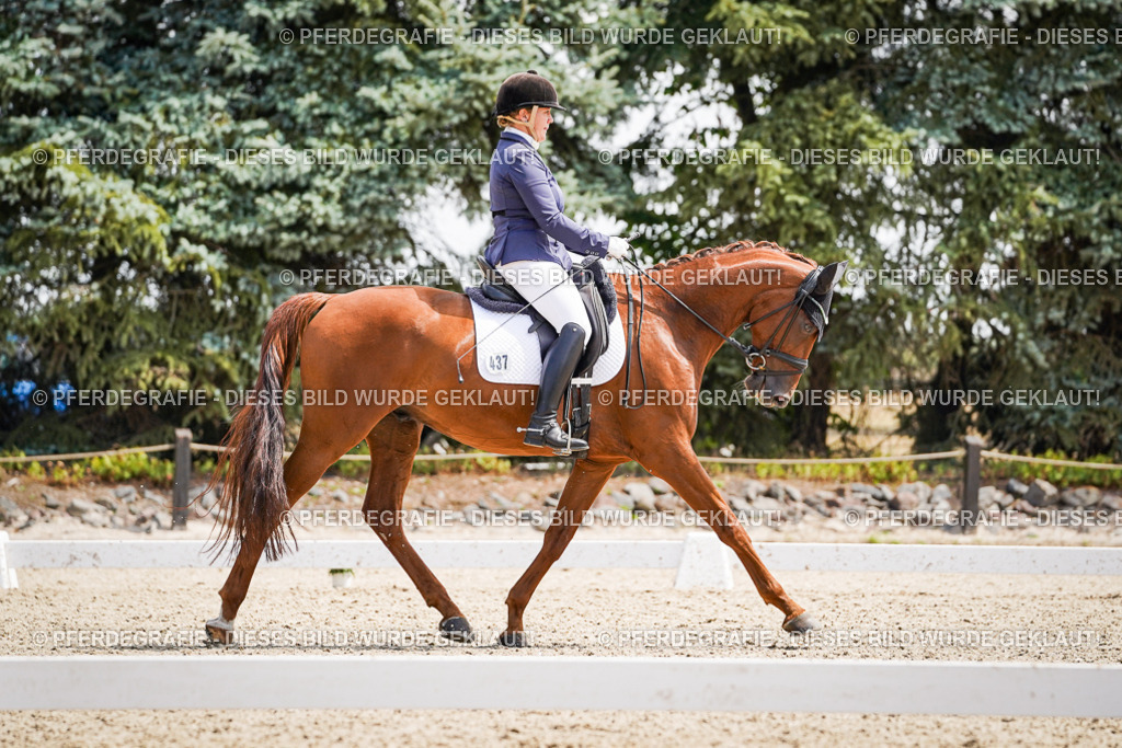 DSC00583 | Pferdegrafie