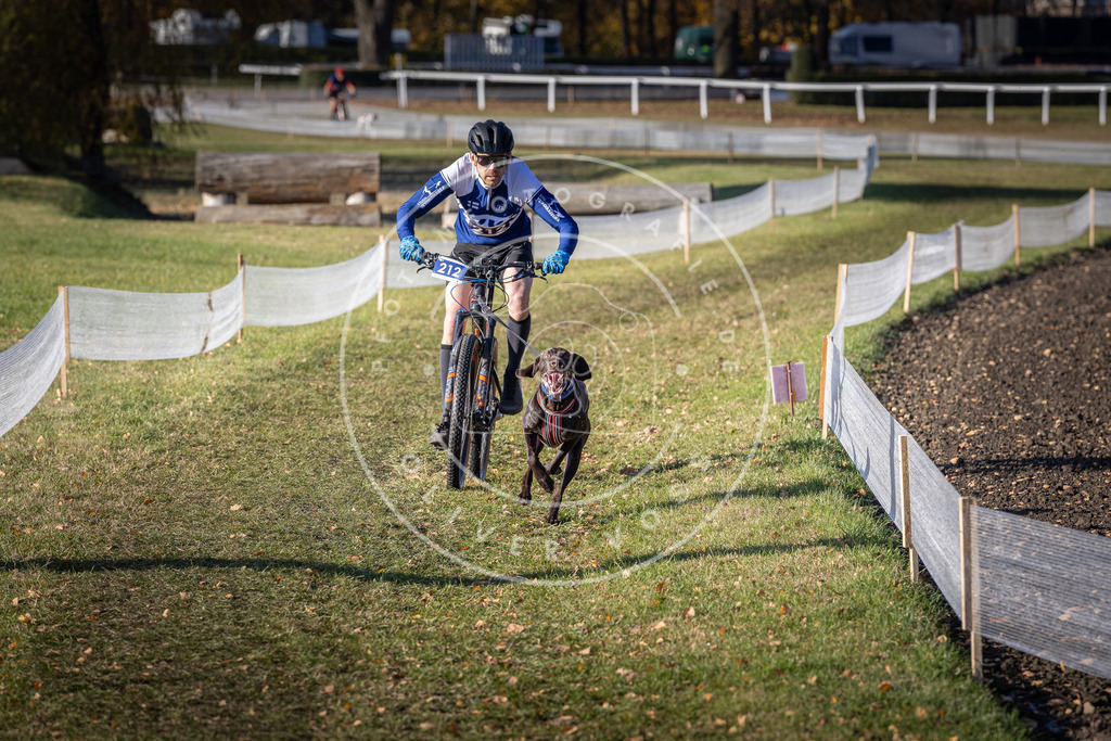 CaniXpix_DV3A3138 | Hundefotografie, Tierfotograf, Pfotenfotografie, Fotoshooting Hund, Hunde Portrait, Hundesport, Hundeportraits, Heideshooting, Hunde, Sportfotograf, Hundefotograf, Turnierhundsport, THS,  - Realisiert mit Pictrs.com