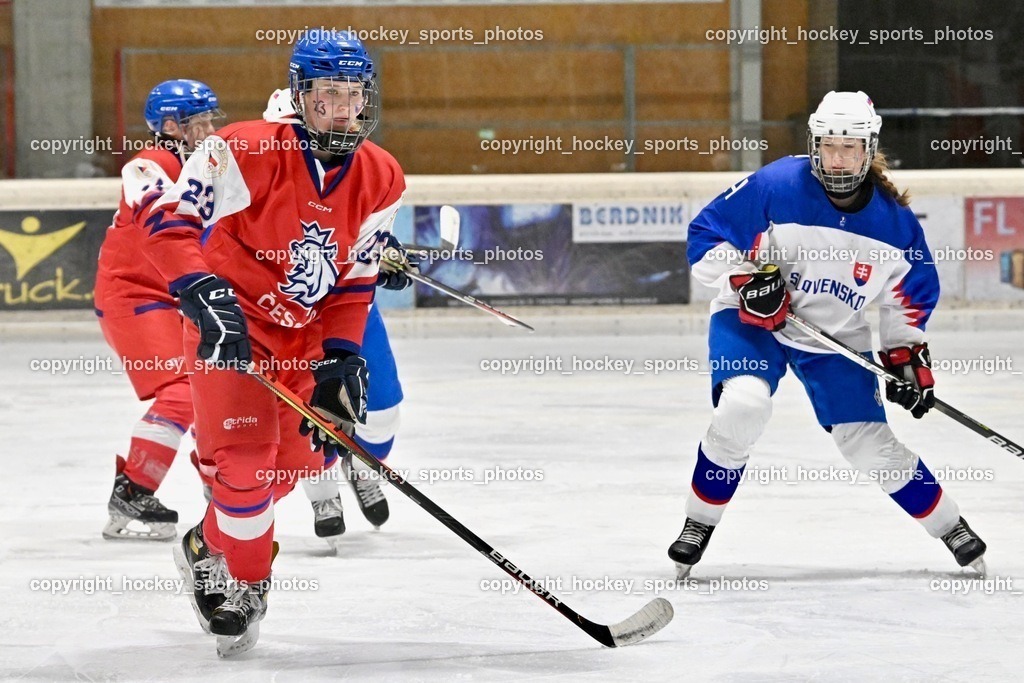 Z9B_7501 | hockey sports photos, Pressefotos, Sportfotos, hockey247, win 2day icehockeyleague, Handball Austria, Floorball Austria, ÖVV, Kärntner Eishockeyverband, KEHV, KFV, Kärntner Fussballverband, Österreichischer Volleyballverband, Alps Hockey League, ÖFB, 