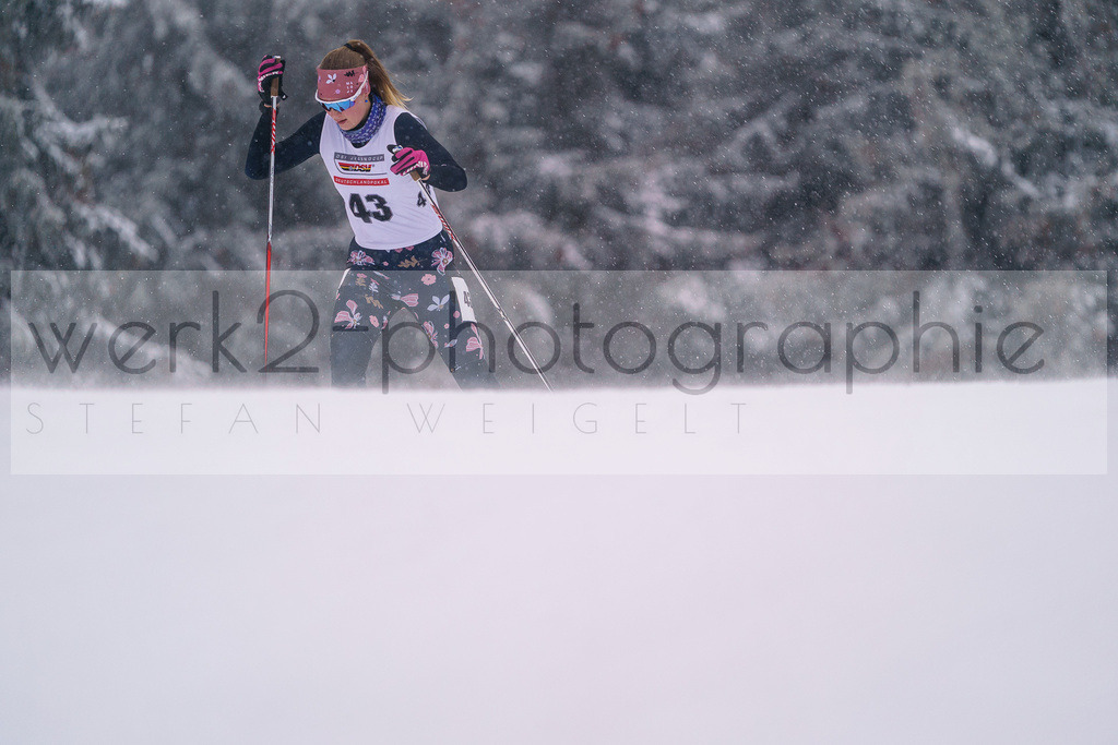 DP Oberwiesenthal | Sparkassen-Skiarena Oberwiesenthal am 10. - 12. Januar 2025