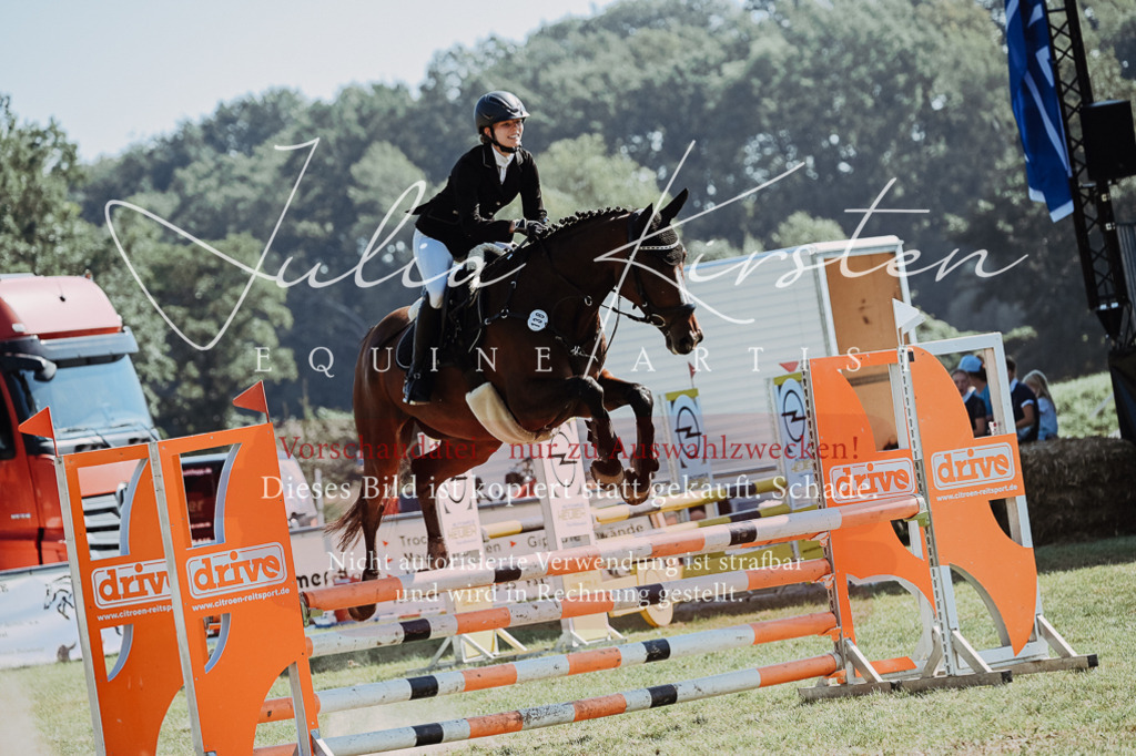 DSC_5833 | Pferde- und Turnierfotografie in Westsachsen. Pferdeportraits, Auftragszeichnungen und intuitive Kunst.