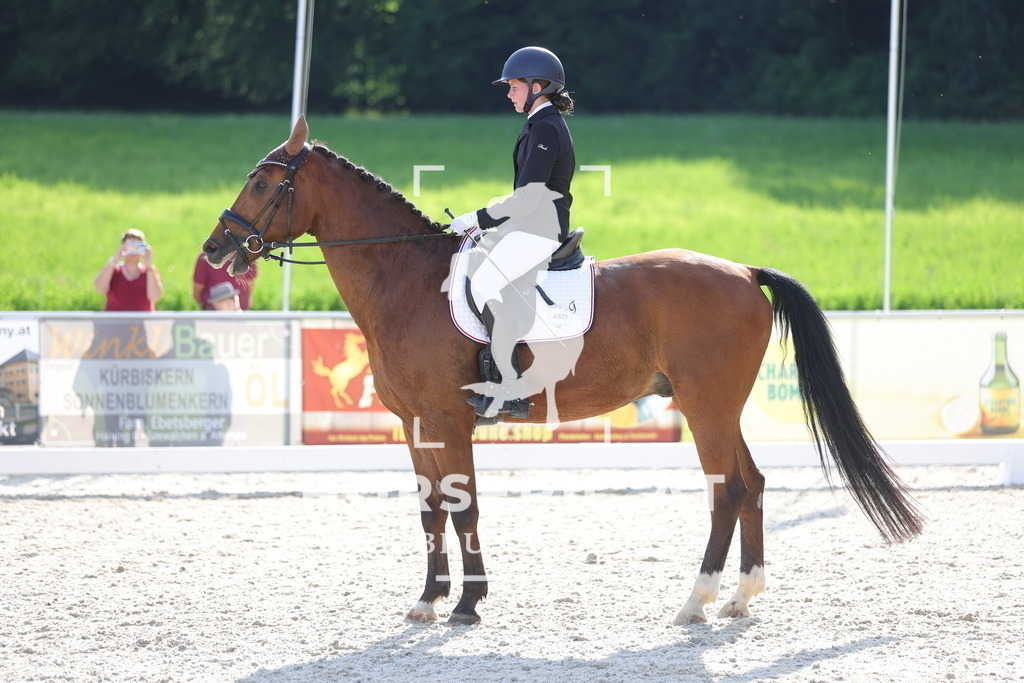 0P6A7341 | Willkommen bei Brunnmayr - Design & Fotografie – Ihrem Spezialisten für Reitturniere und Pferdeveranstaltungen in Oberösterreich, Salzburg und Bayern! Seit über 17 Jahren sind wir leidenschaftlich dabei.