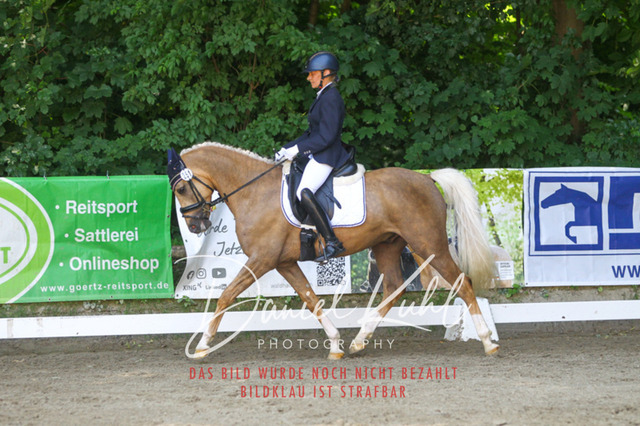 DKP42367 | Turniersportfotografie; Pferdefotografie; Dressurfotografie