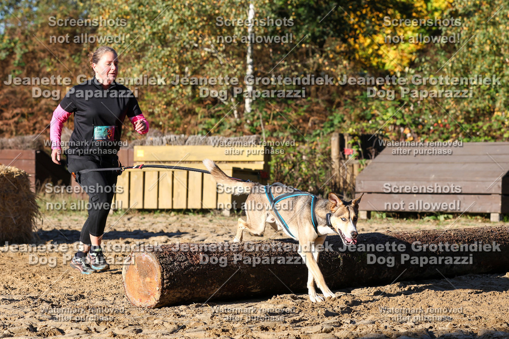 Dog Paparazzi - Strongdog 10-25-1490 | Dog Paparazzi Jeanette Grottendiek Fotografie & Videografie - Realisiert mit Pictrs.com