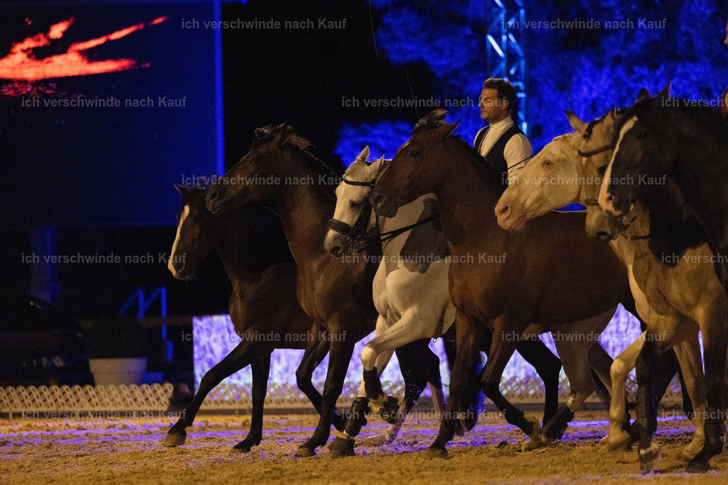 FHClassics-341 | working equitationturnier fotograf videograf stoibphotography marixx film working equitation deutschland reitsport turnierfotografie eventfotografie equestrian events