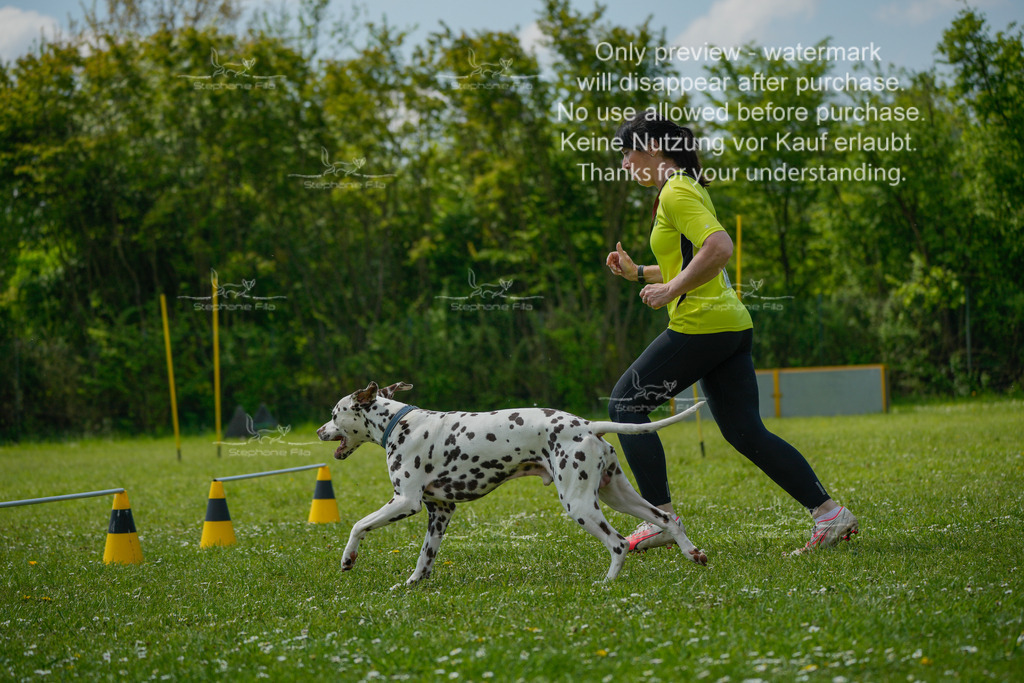 Sa_Laeufe_VK1und2_04-52 | stephaniefillaphotographie - Realisiert mit Pictrs.com