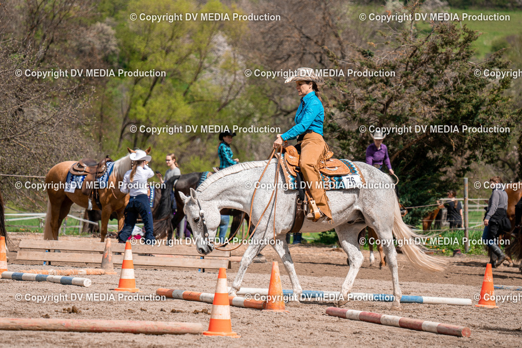 BAL02393 | dv-media-shop - Realisiert mit Pictrs.com