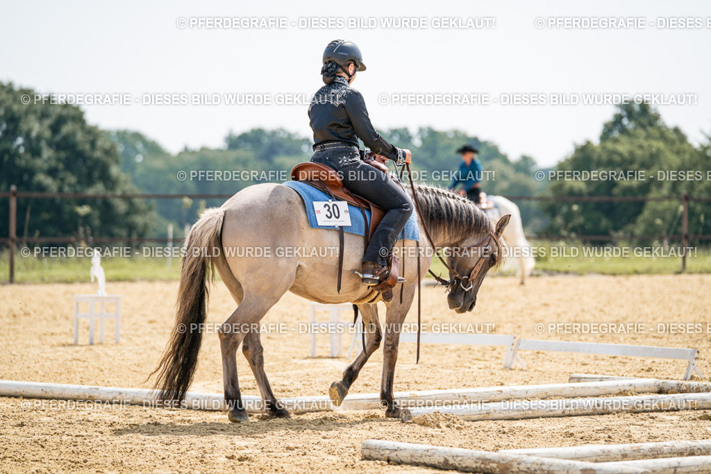 DSC09949 | Pferdegrafie