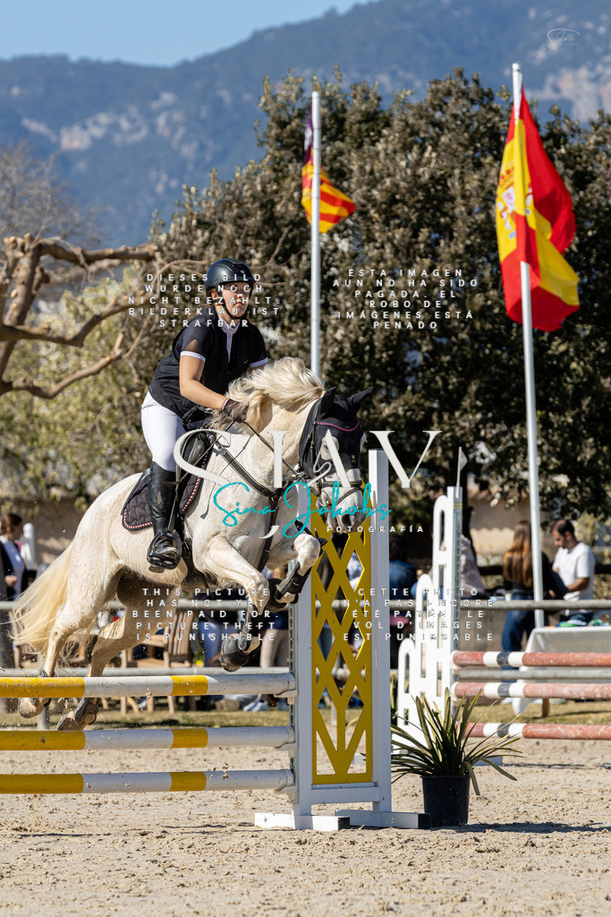 IMG_9352 | s-jay-photography - Realisiert mit Pictrs.com