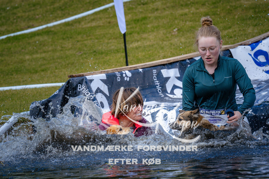 _ZZ948881004 | kk-dogfotos