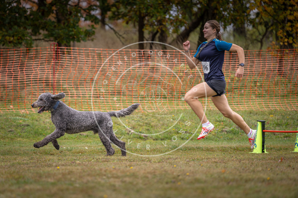 Pfotenfotografie_DV3A1417 | Hundefotografie, Tierfotograf, Pfotenfotografie, Fotoshooting Hund, Hunde Portrait, Hundesport, Hundeportraits, Heideshooting, Hunde, Sportfotograf, Hundefotograf, Turnierhundsport, THS,  - Realisiert mit Pictrs.com