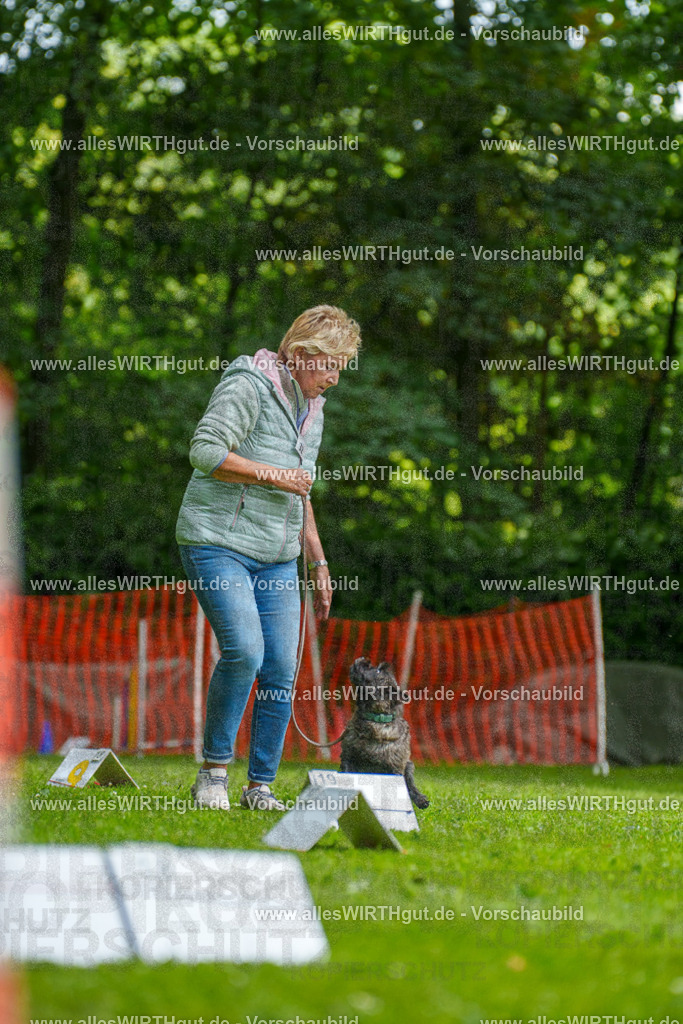 @allesWIRTHgut_Tierfotografie - www.allesWIRTHgut.de - 7R504507 | Professionelle Tierfotografie in Mönchengladbach von Daniel Wirth (allesWIRTHgut). Liebevolle & natürliche Bilder von Hunden & Katzen für unvergessliche Erinnerungen.
