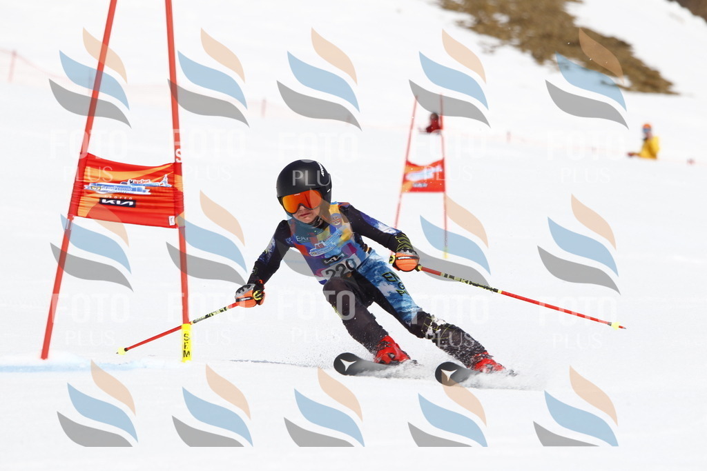 _U3G5675 | holidayphoto