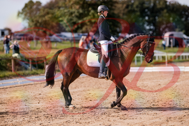 2026_10_03_Siefer-Hof_122808_Z81_26344775 | Professionelle Reitsport-, Turnier- und Eventfotografie von Robert Broda. Galerien mit ausgewählten und bearbeiteten Bildern direkt online ansehen und bestellen.