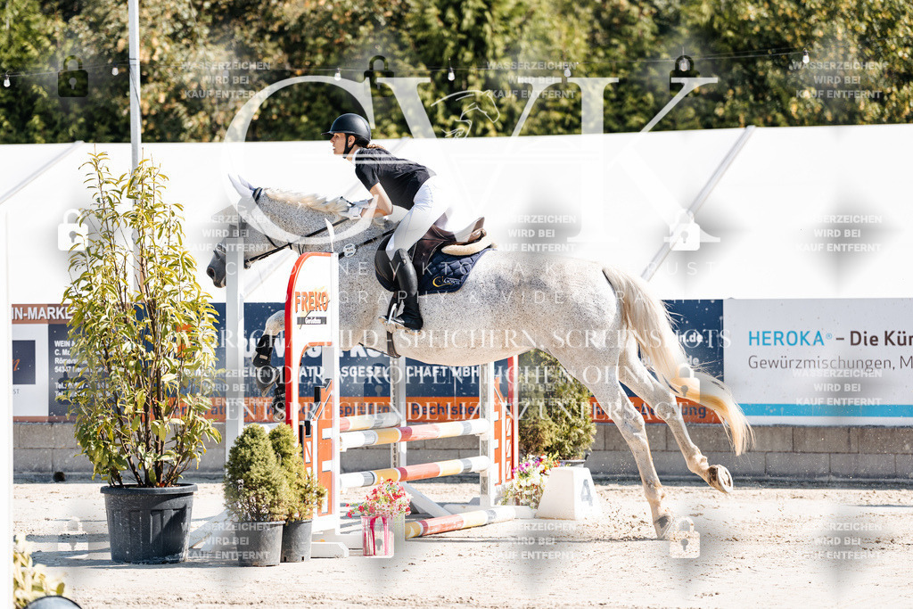 CK905111 | Turnierfotografie Pferdefotografie Trier Rheinland-Pfalz Pferdesport Reitsport Tierfotografie Sportfotografie Pferdevideo Pferdevideografie Equestrianvideography equestrianphotography  - Realisiert mit Pictrs.com