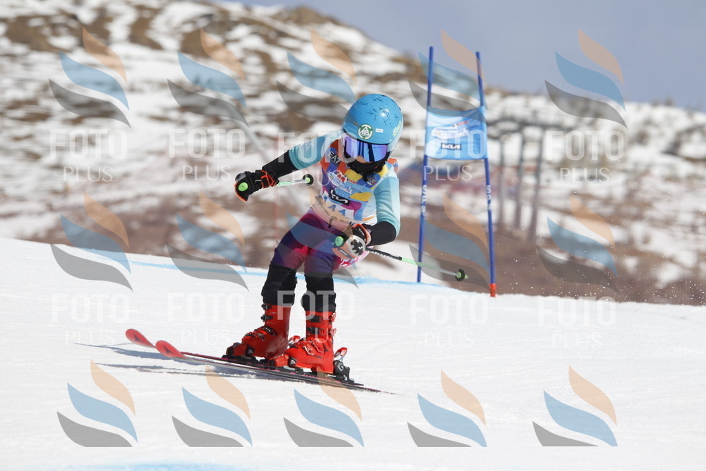 _U3G1049 | holidayphoto