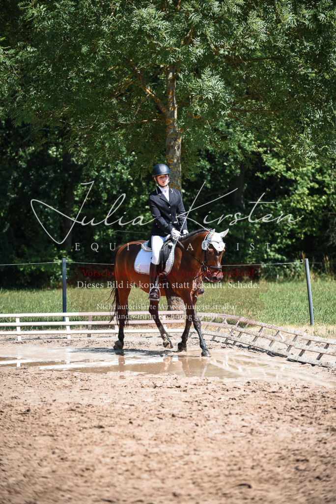 DSC_3044 | Pferde- und Turnierfotografie in Westsachsen. Pferdeportraits, Auftragszeichnungen und intuitive Kunst.