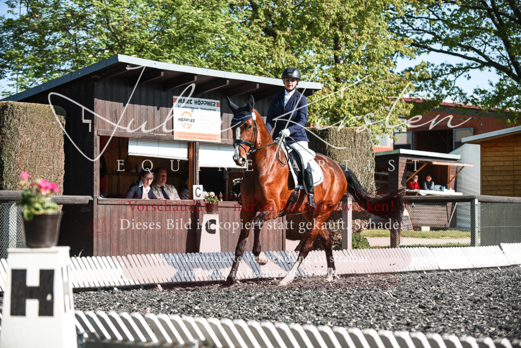 DSC_8537 | Pferde- und Turnierfotografie in Westsachsen. Pferdeportraits, Auftragszeichnungen und intuitive Kunst.