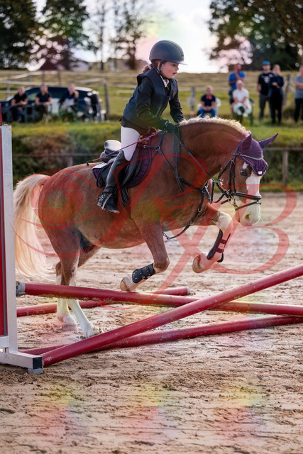 2026_10_03_Siefer-Hof_144437_Z81_18453922 | Professionelle Reitsport-, Turnier- und Eventfotografie von Robert Broda. Galerien mit ausgewählten und bearbeiteten Bildern direkt online ansehen und bestellen.