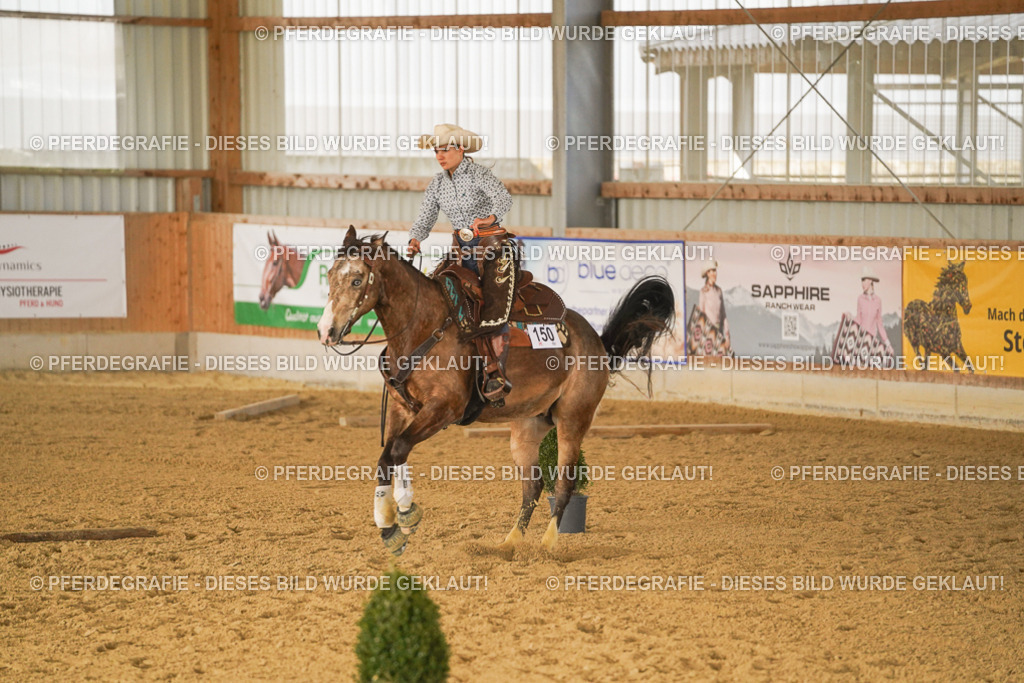 DSC02741 | Pferdegrafie