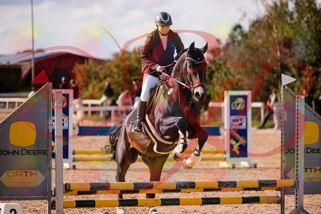 2026_10_03_Siefer-Hof_154258_Z81_60680134 | Professionelle Reitsport-, Turnier- und Eventfotografie von Robert Broda. Galerien mit ausgewählten und bearbeiteten Bildern direkt online ansehen und bestellen.