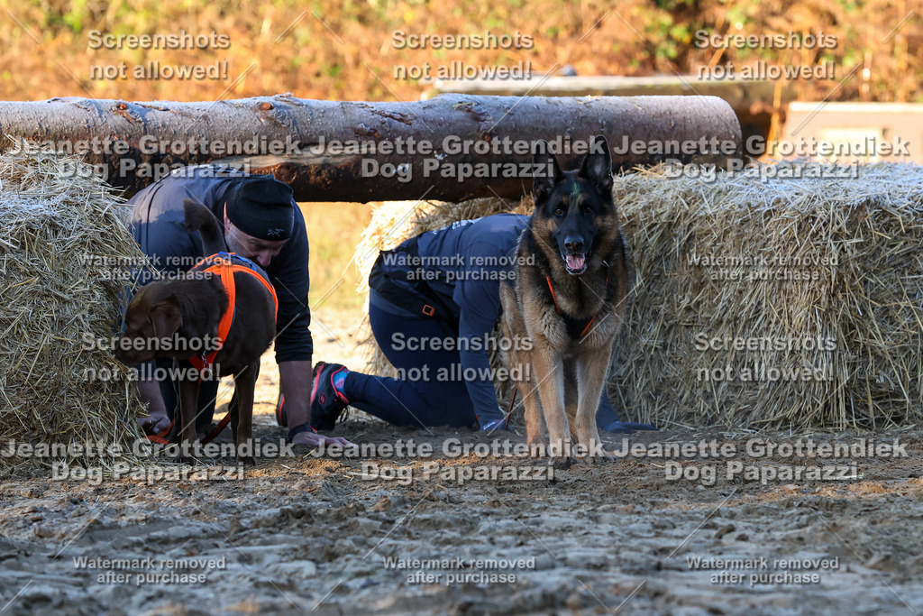 Dog Paparazzi - Strongdog 10-25-649 | Dog Paparazzi Jeanette Grottendiek Fotografie & Videografie - Realisiert mit Pictrs.com