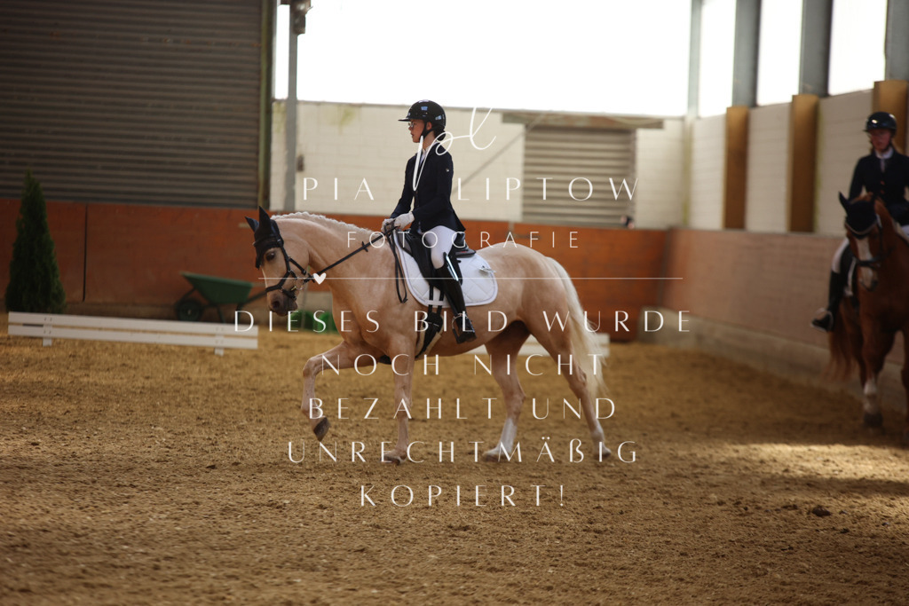 IMGT3995 | pl-fotografie