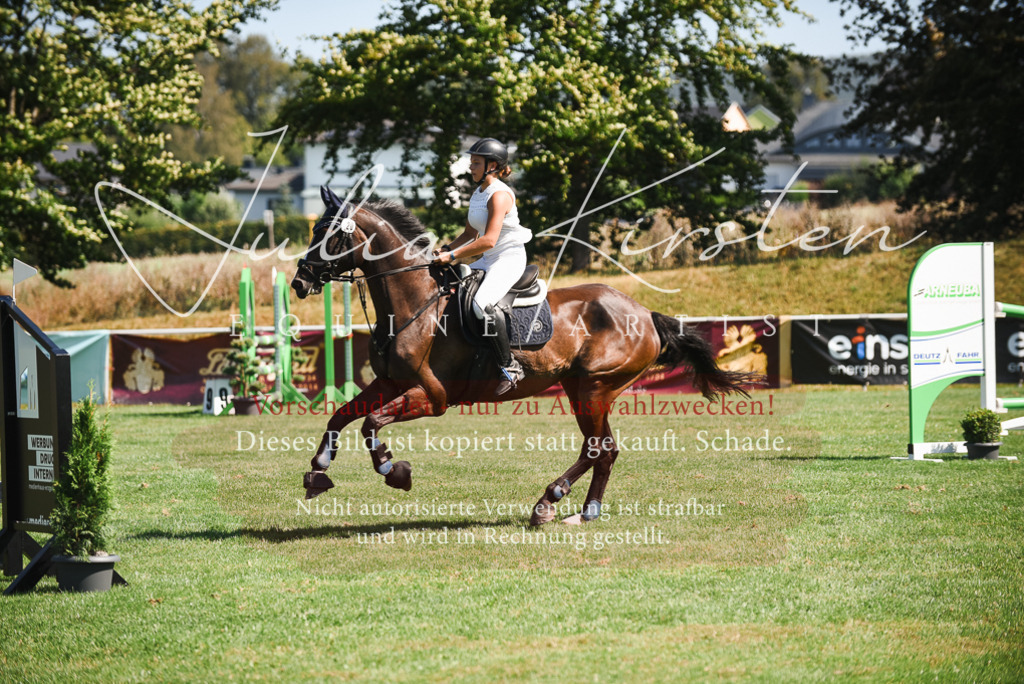 DSC_2867 | Pferde- und Turnierfotografie in Westsachsen. Pferdeportraits, Auftragszeichnungen und intuitive Kunst.
