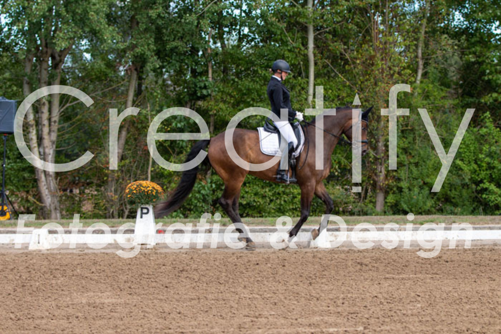 IMG_3819 | Creatify Fotografie