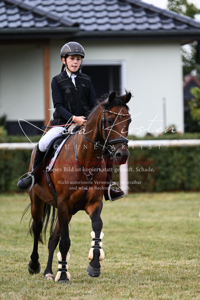 DSC_5435 | Pferde- und Turnierfotografie in Westsachsen. Pferdeportraits, Auftragszeichnungen und intuitive Kunst.