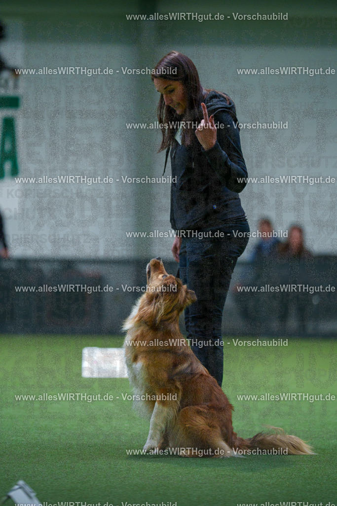 7R502974 | Professionelle Tierfotografie in Mönchengladbach von Daniel Wirth (allesWIRTHgut). Liebevolle & natürliche Bilder von Hunden & Katzen für unvergessliche Erinnerungen.