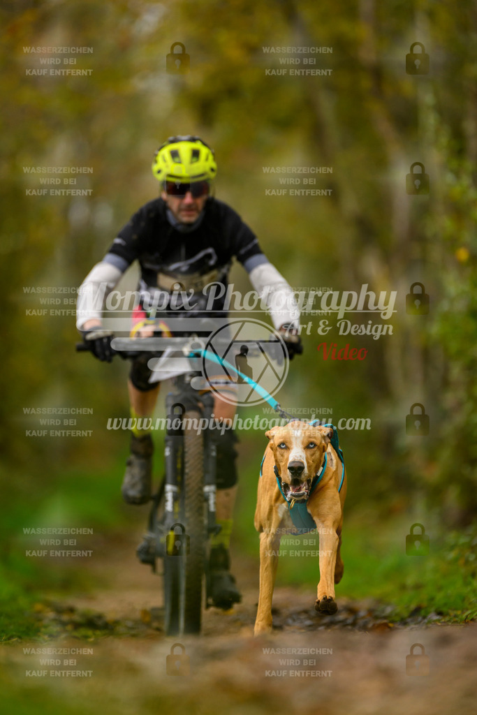 MompixPhotography_20TSB_E6_Bike-28 | mompixphotography