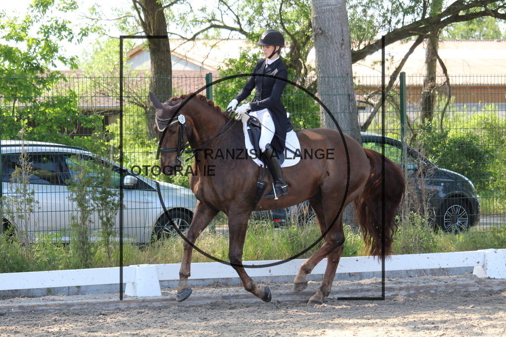 IMG_5493 | franziskalange - Realisiert mit Pictrs.com