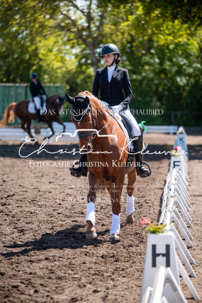 DSC_6518 | Christina-Kleuver