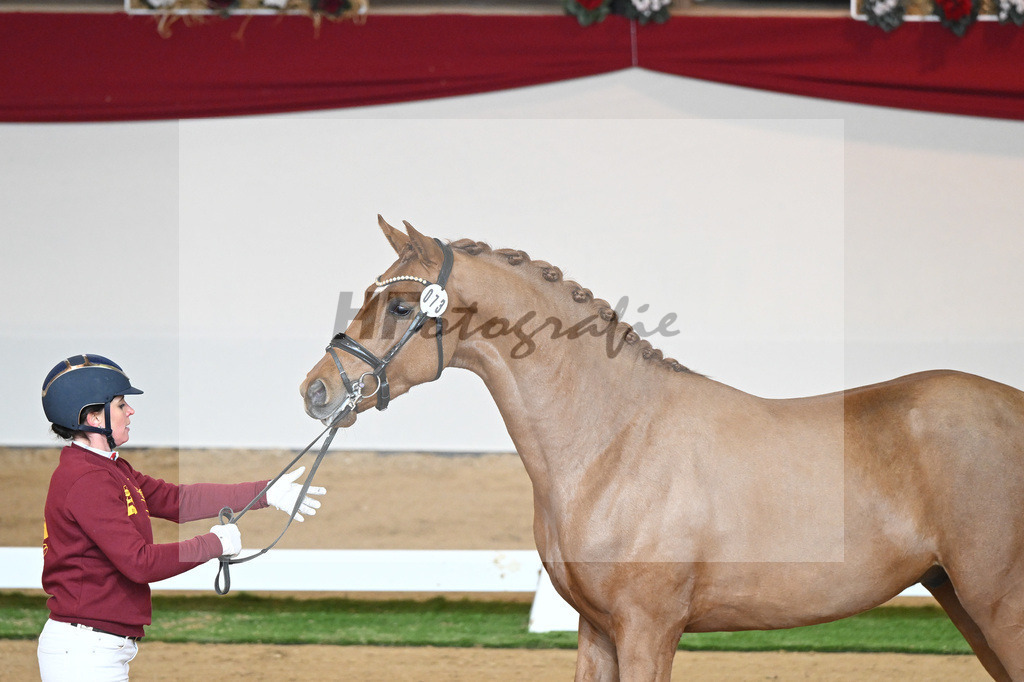 Kat-Nr. 73 Vaderland_Galneder_1230417 | hf-fotografie - Realisiert mit Pictrs.com