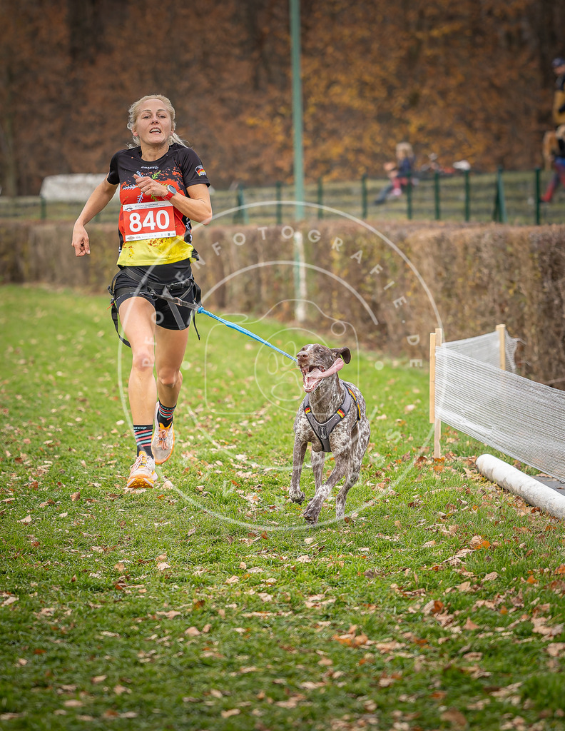 CaniXpix_DV3A6221 | Hundefotografie, Tierfotograf, Pfotenfotografie, Fotoshooting Hund, Hunde Portrait, Hundesport, Hundeportraits, Heideshooting, Hunde, Sportfotograf, Hundefotograf, Turnierhundsport, THS,  - Realisiert mit Pictrs.com