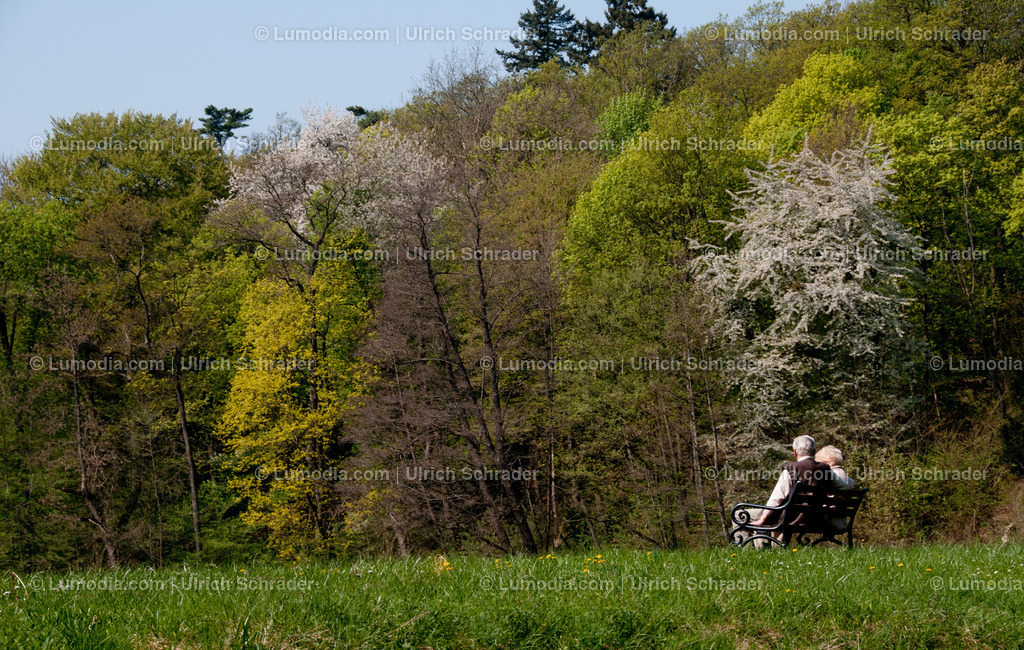 100494-4276 - Schlosspark Ballenstedt | Stockfoto und Bilderpool mit Bildmaterial aus Deutschland, dem Harz, Halberstadt, Quedlinburg, Wernigerode und weltweit. Qualitativ hochwertige und professionelle Fotos anschauen und kaufen. - Realisiert mit Pictrs.com