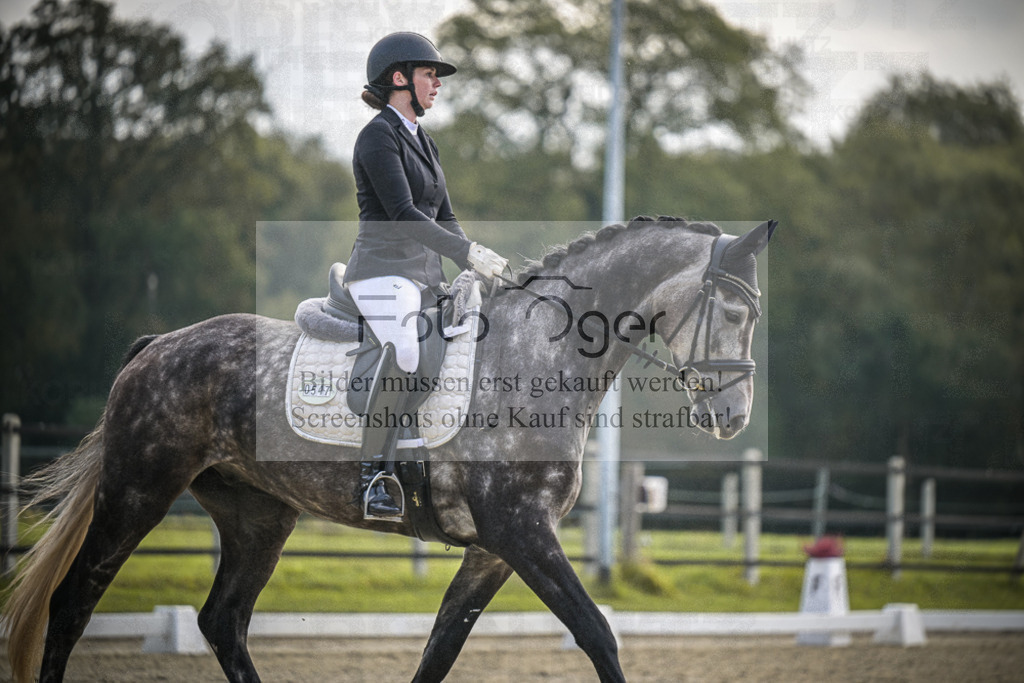 DOS_B189 | Entdecke hochwertige Reitturnierfotos von Foto Oger. Professionell, emotional und authentisch – jetzt Lieblingsmomente im Shop bestellen.Deutschlandweite Turnierfotografie. - Realisiert mit Pictrs.com