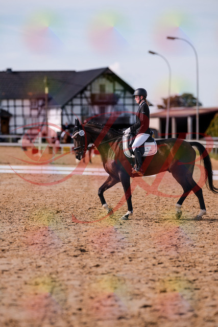 2026_10_03_Siefer-Hof_132604_Z81_78750016 | Professionelle Reitsport-, Turnier- und Eventfotografie von Robert Broda. Galerien mit ausgewählten und bearbeiteten Bildern direkt online ansehen und bestellen.