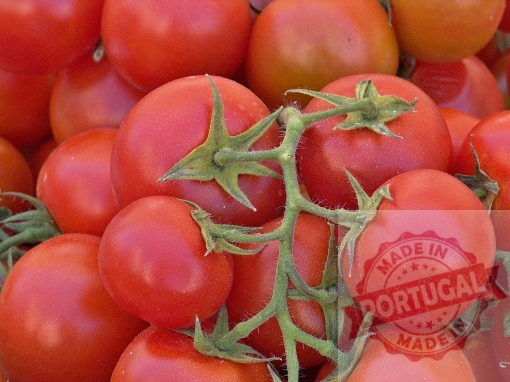 Ripening red tomatoes on vine showing freshness | Fresh ripe red tomatoes on a vine, ready for healthy eating and cooking - Realized with Pictrs.com