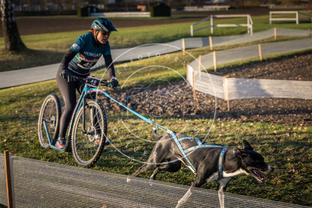 CaniXpix_DV3A0442 | Hundefotografie, Tierfotograf, Pfotenfotografie, Fotoshooting Hund, Hunde Portrait, Hundesport, Hundeportraits, Heideshooting, Hunde, Sportfotograf, Hundefotograf, Turnierhundsport, THS,  - Realisiert mit Pictrs.com