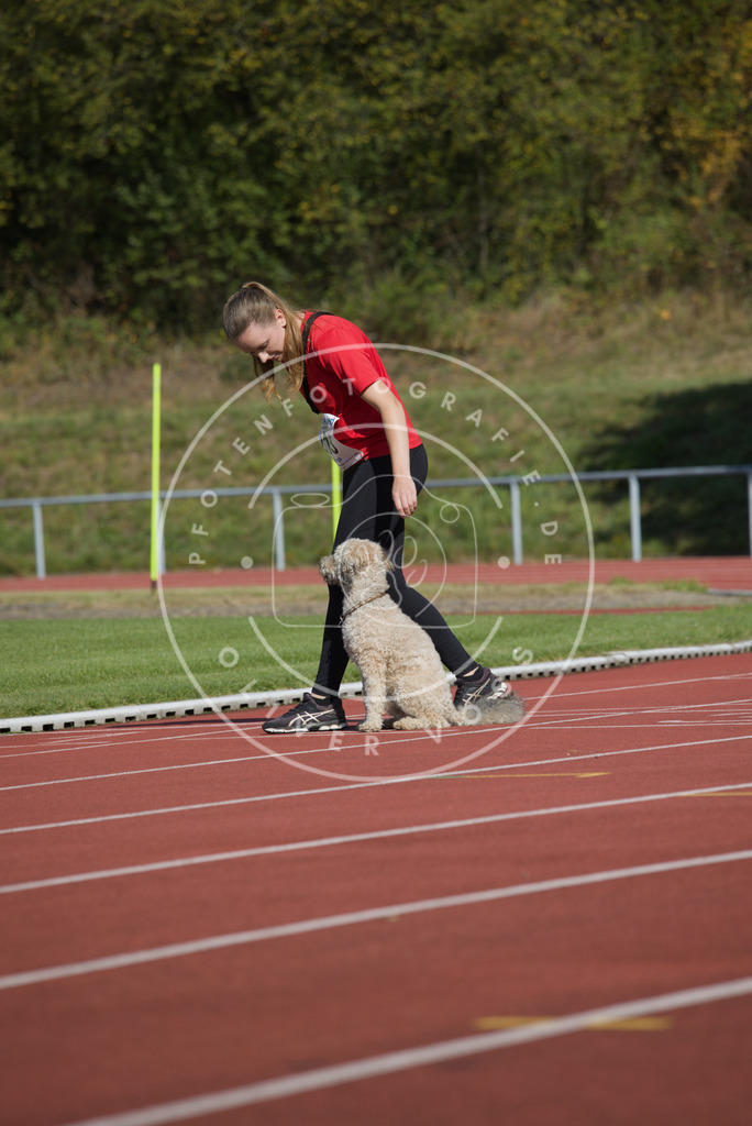 0L8A2433 | Hundefotografie, Tierfotograf, Pfotenfotografie, Fotoshooting Hund, Hunde Portrait, Hundesport, Hundeportraits, Heideshooting, Hunde, Sportfotograf, Hundefotograf, Turnierhundsport, THS,  - Realisiert mit Pictrs.com