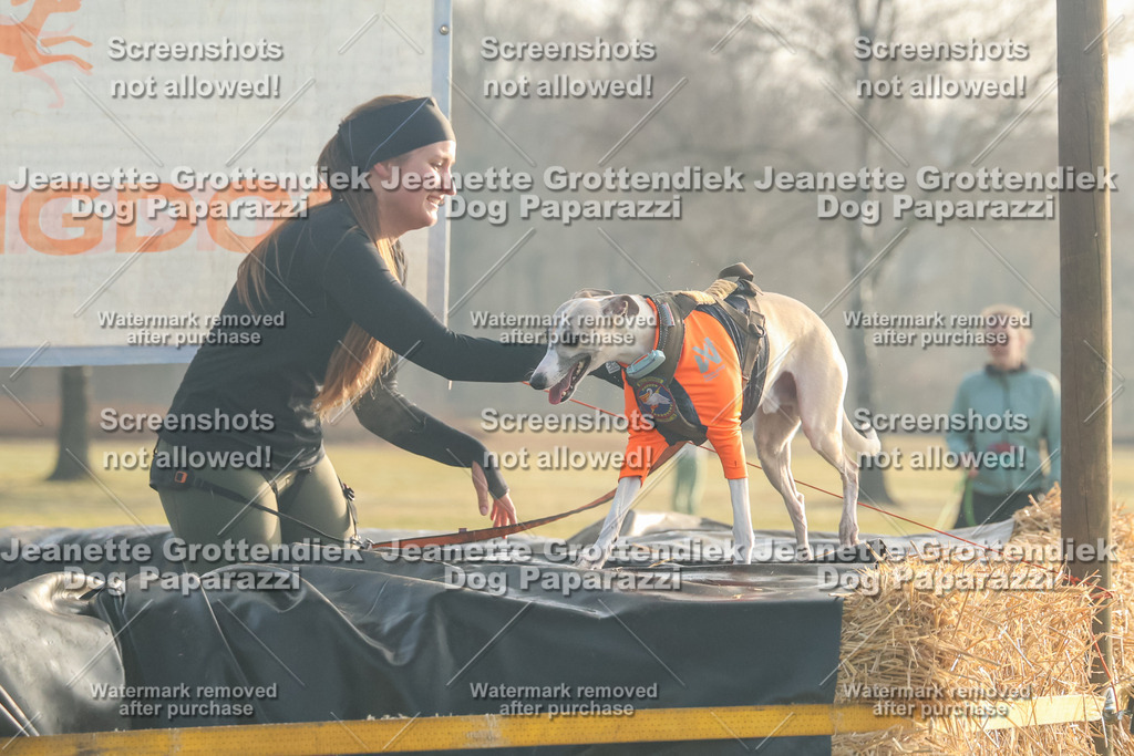 Dog Paparazzi - SD North Sa 830-900-111 | Dog Paparazzi Jeanette Grottendiek Fotografie & Videografie - Realisiert mit Pictrs.com