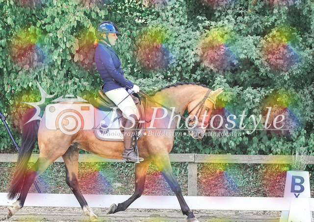 20250726_Dressurreiterprfg_Kl.L-265 | JS-Photostyle - Sport-/Portrait- & Eventfotografie