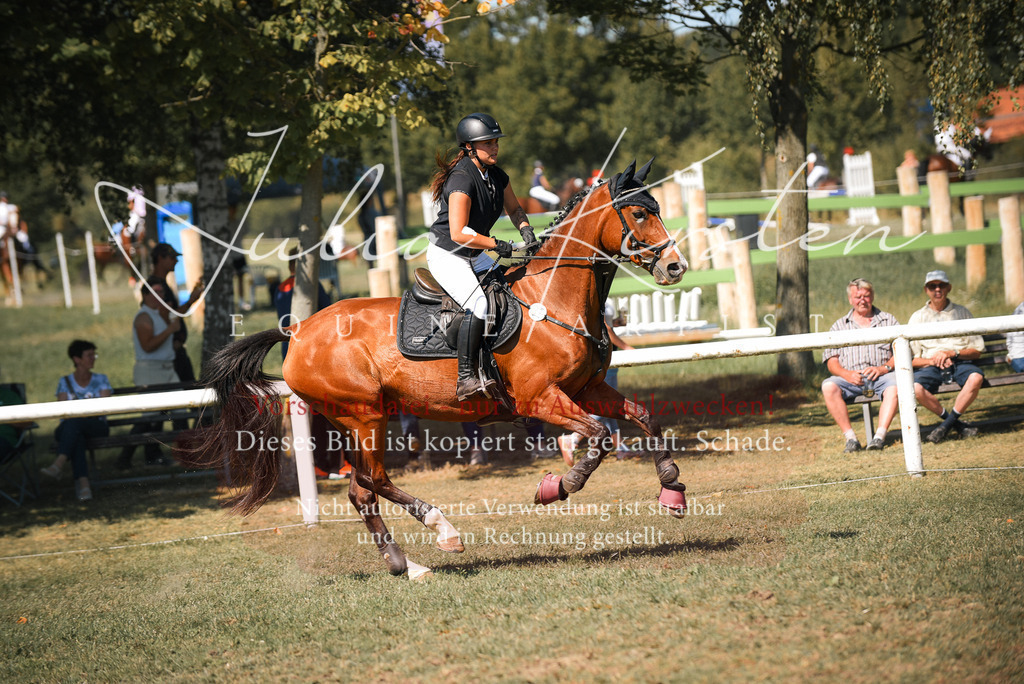 DSC_7094 | Pferde- und Turnierfotografie in Westsachsen. Pferdeportraits, Auftragszeichnungen und intuitive Kunst.