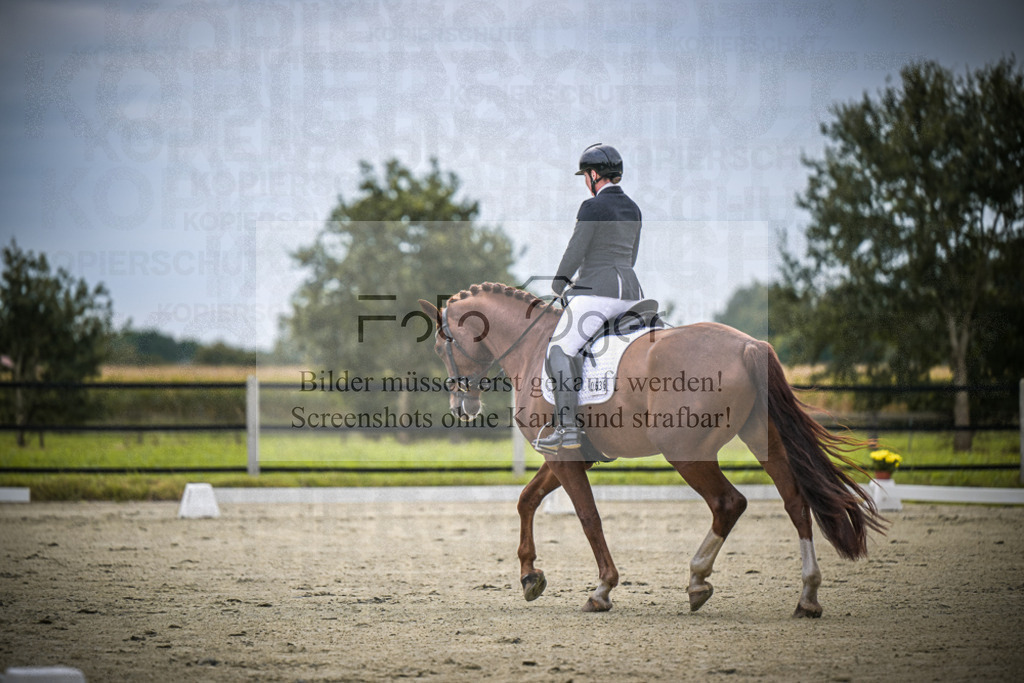 DOS_0804 | Entdecke hochwertige Reitturnierfotos von Foto Oger. Professionell, emotional und authentisch – jetzt Lieblingsmomente im Shop bestellen.Deutschlandweite Turnierfotografie. - Realisiert mit Pictrs.com