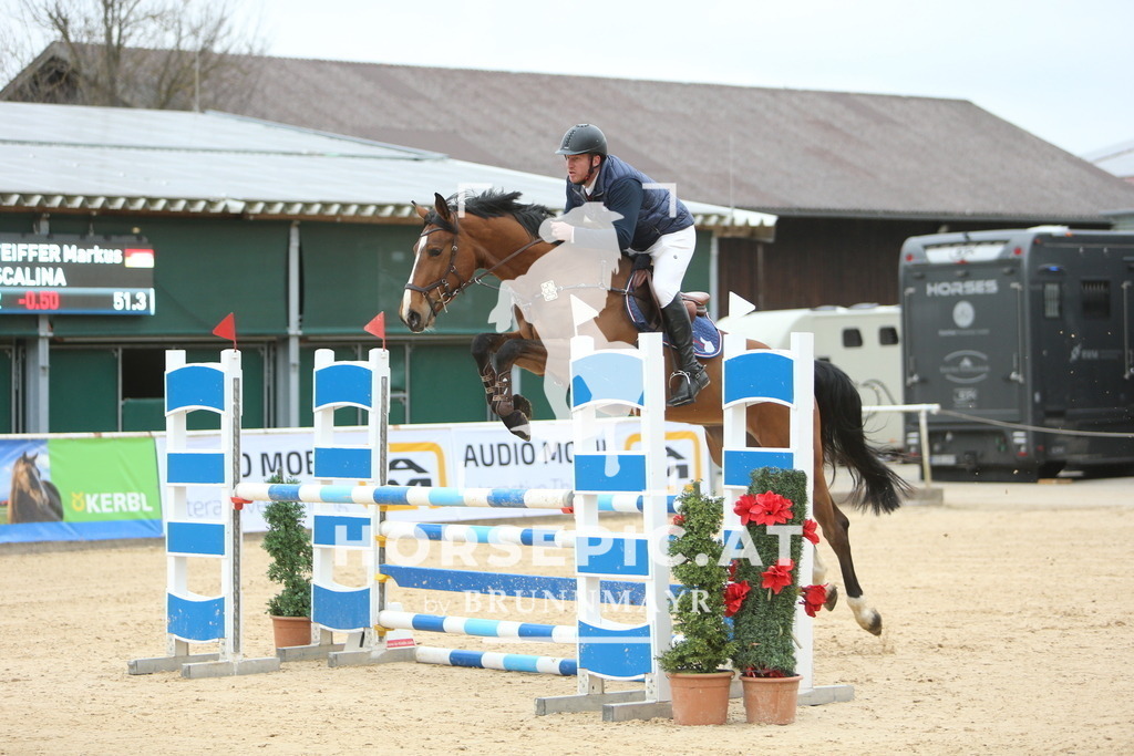 DL2Q6785 | Willkommen bei Brunnmayr - Design & Fotografie – Ihrem Spezialisten für Reitturniere und Pferdeveranstaltungen in Oberösterreich, Salzburg und Bayern! Seit über 17 Jahren sind wir leidenschaftlich dabei.